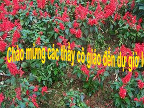 Giảm đi một số lần
