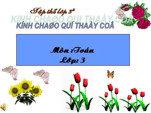 Các Bài giảng khác thuộc Chương trình Toán 3