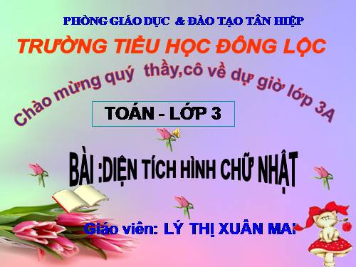 Diện tích hình chữ nhật.