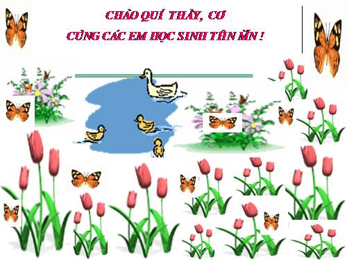 Hình chữ nhật