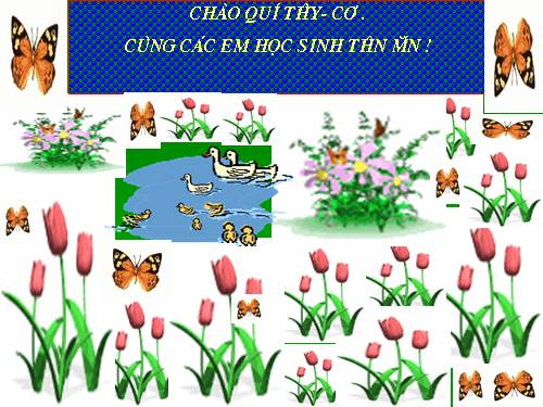 Chu vi hình chữ nhật