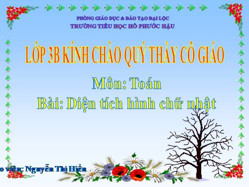 Diện tích hình chữ nhật.