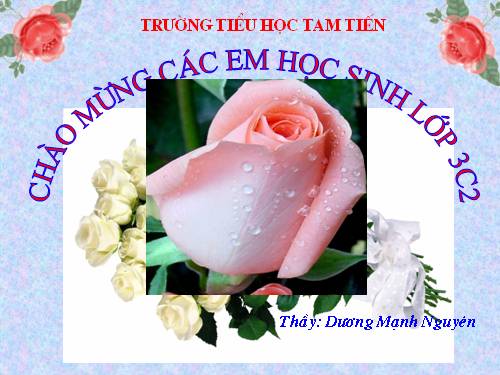 Vẽ trang trí hình tròn