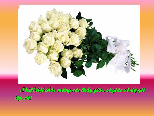 Bài toán giải bằng hai phép tính