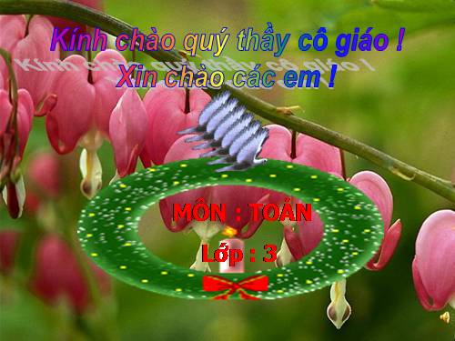 Bài toán liên quan đến rút về đơn vị