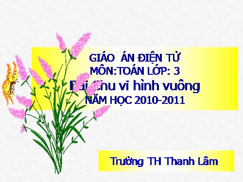 Chu vi hình vuông