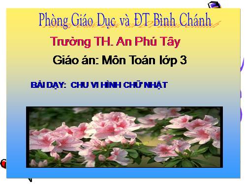 Chu vi hình chữ nhật