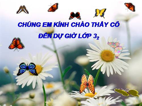 Bảng nhân 8