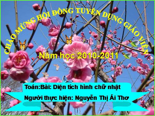 Diện tích hình chữ nhật.
