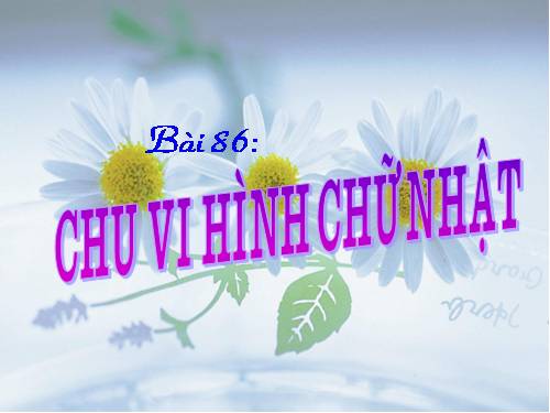 Chu vi hình chữ nhật