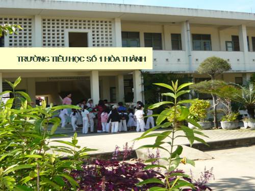 Hình vuông