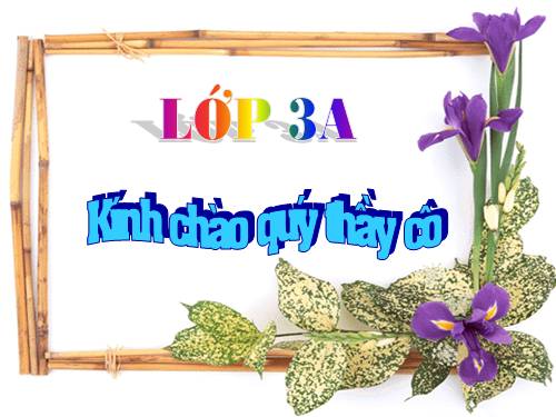 Làm quen với thống kê số liệu