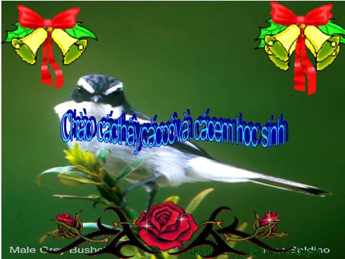 Chia số có năm chữ số cho số có một chữ số