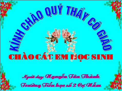 Diện tích hình chữ nhật.