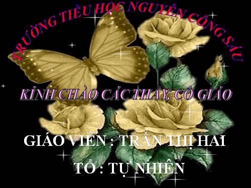 Bảng chia 8