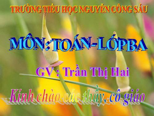 Các Bài giảng khác thuộc Chương trình Toán 3