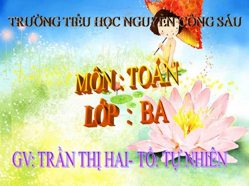 Chu vi hình chữ nhật