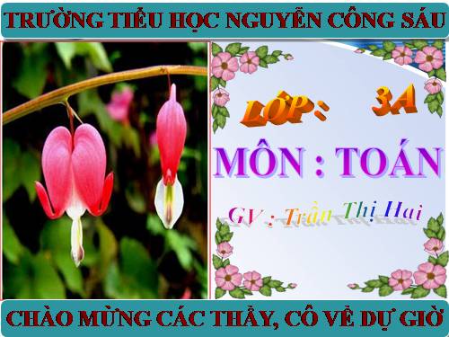 Chu vi hình vuông