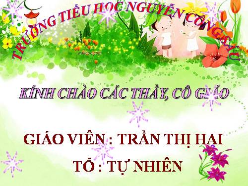 Chia số có bốn chữ số cho số có một chữ số