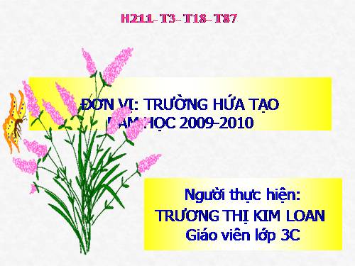 Chu vi hình vuông