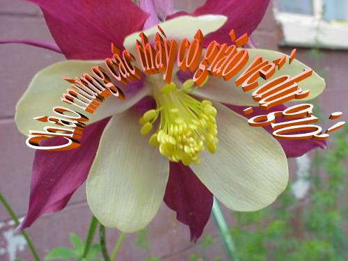 Bảng nhân 8