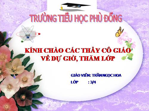 Bài toán liên quan đến rút về đơn vị