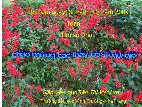 Tìm số chia