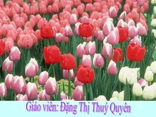 Bài toán giải bằng hai phép tính