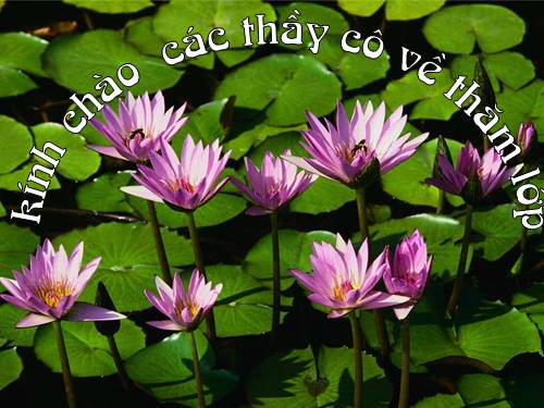 Bảng chia 7