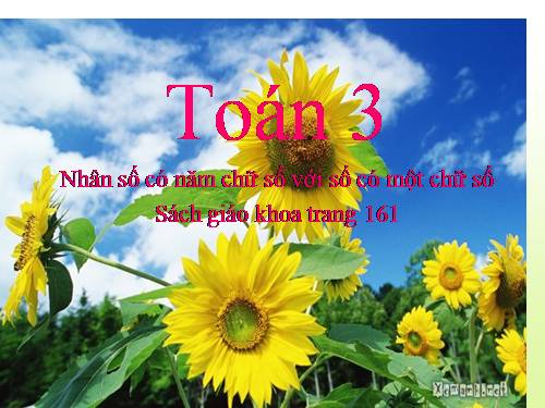 Nhân số có năm chữ số với số có một chữ số