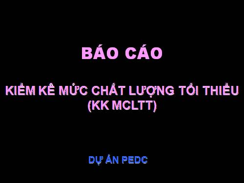 báo cáo kiểm kê MCLTTT 2008