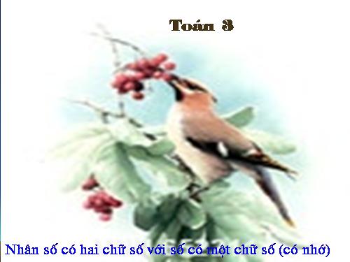 Nhân số có hai chữ số với số có một chữ số (có nhớ)