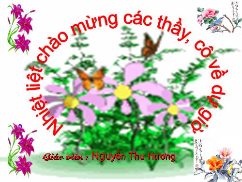 Diện tích hình chữ nhật.