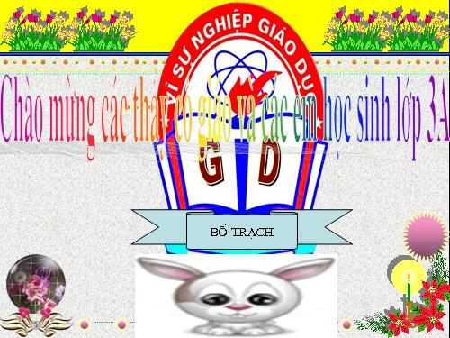 Diện tích hình chữ nhật.