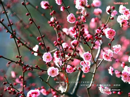 Các Bài giảng khác thuộc Chương trình Toán 3