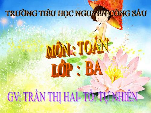 Chu vi hình chữ nhật