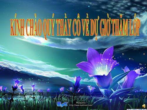 Bài toán giải bằng hai phép tính