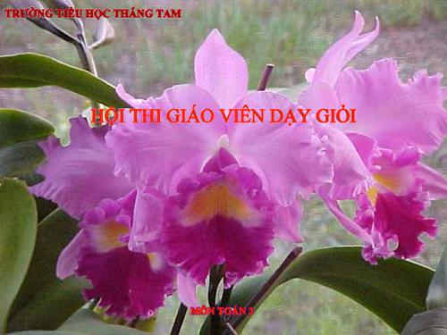 Chia số có ba chữ số cho số có một chữ số (tiếp theo)