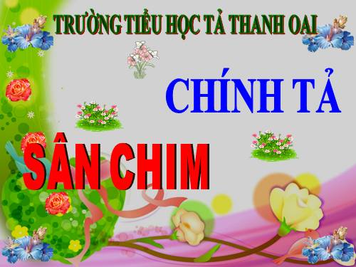 Tuần 21. Nghe-viết: Sân chim