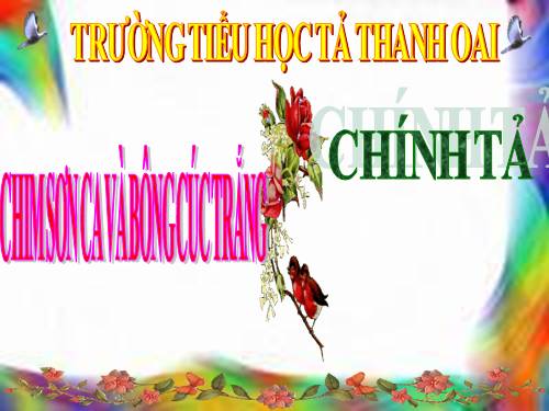 Tuần 21. Tập chép: Chim sơn ca và bông cúc trắng