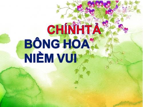 Tuần 13. Tập chép: Bông hoa Niềm Vui