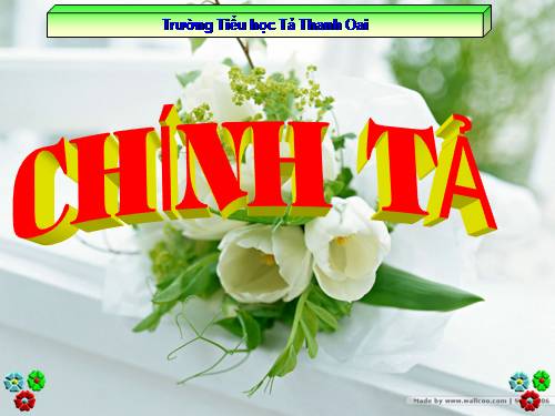 Tuần 12. Tập chép: Mẹ