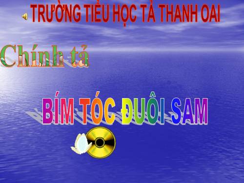Tuần 4. Tập chép: Bím tóc đuôi sam