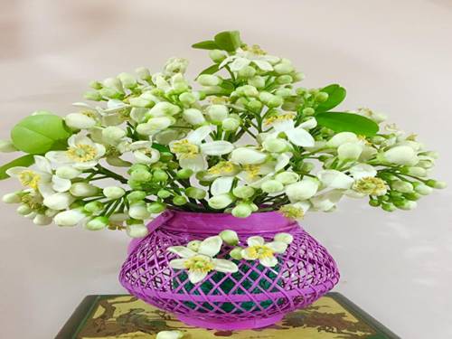 Tuần 24. Nghe-viết: Voi nhà