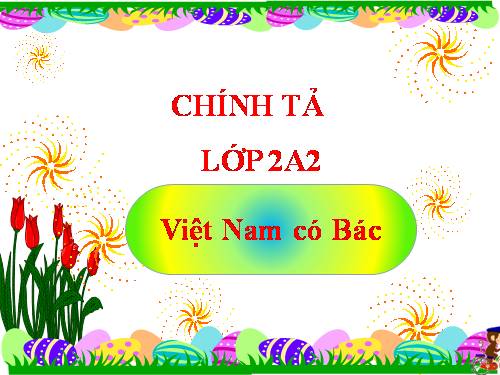 Tuần 31. Nghe-viết: Việt Nam có Bác