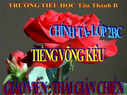 Tuần 14. Tập chép: Tiếng võng kêu