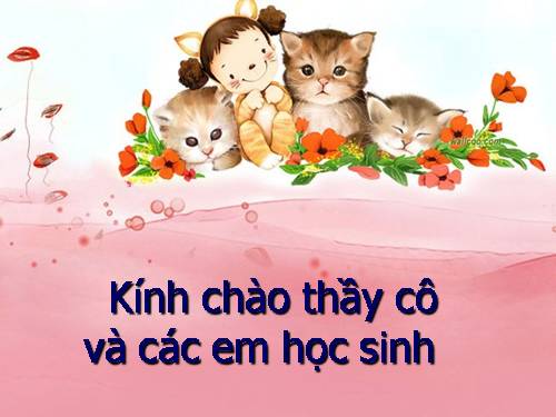 Tuần 9. Ôn tập giữa học kì I