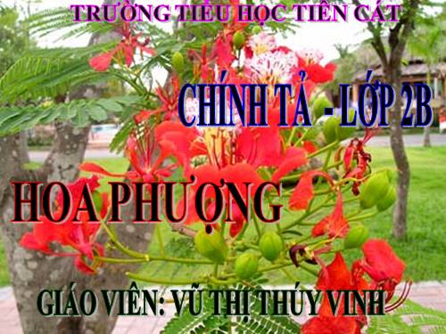 Tuần 29. Nghe-viết: Hoa phượng
