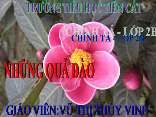 Tuần 29. Tập chép: Những quả đào
