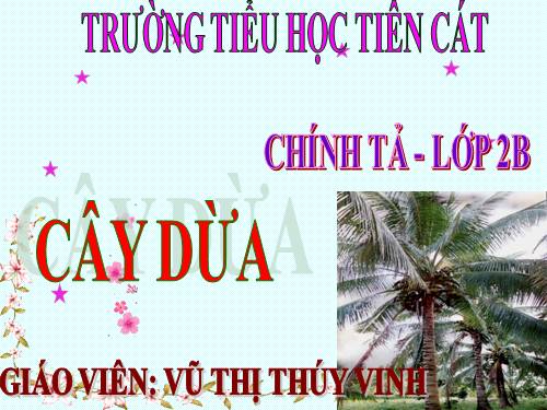 Tuần 28. Nghe-viết: Cây dừa